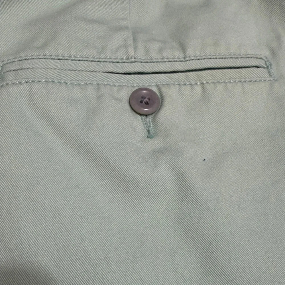 J. Crew Men's Pastel Green Flat-Front Cotton Chino 9” Shorts, Size 36.